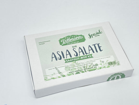 Asia Salate Saatgut-Box XS (Karton)