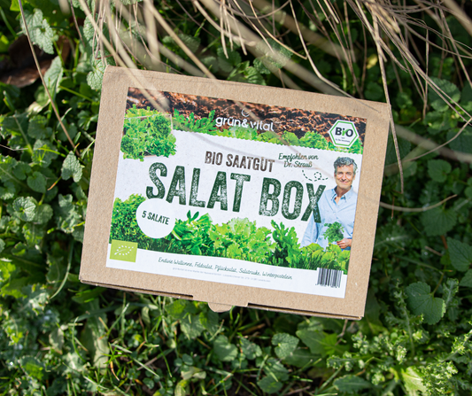 Bio Samen Set "Salat Box"
